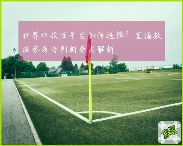 世界杯投注平台如何选择？直播数据参考与判断要点解析