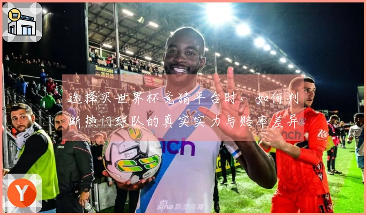 选择买世界杯竞猜平台时，如何判断热门球队的真实实力与赔率差异？